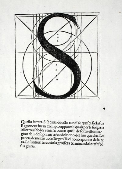 S, illustration from 
